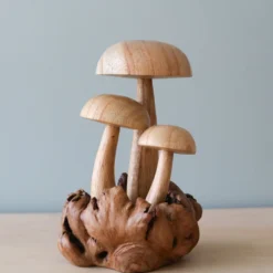 Odin Parker Handmade Wooden Mushrooms