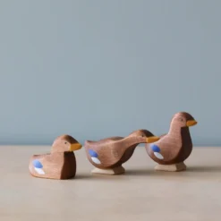 Brin D'Ours | Duck *New*