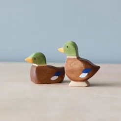 Brin D'Ours | Duck *New*