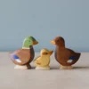 Brin D'Ours | Duck *New*