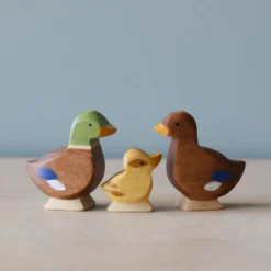 Brin D'Ours | Duck *New*