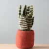 Odin Parker Handmade Felt Plant *New*