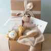 Odin Parker *New* Newborn Gift Set
