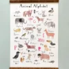 Vendor-unknown Animal Alphabet Poster
