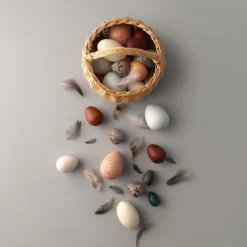 A Dozen Wooden Bird Eggs - Moon Picnic