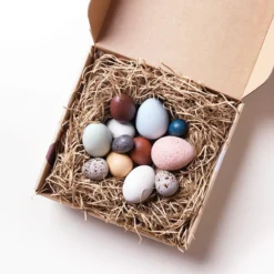 Moon Picnic *New* A Dozen Bird Eggs In A Box