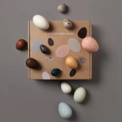 Moon Picnic *New* A Dozen Bird Eggs In A Box