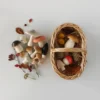 Forest Mushrooms Basket - Moon Picnic *New*