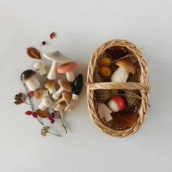 Forest Mushrooms Basket - Moon Picnic *New*