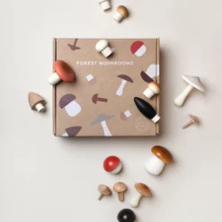 Moon Picnic Forest Mushrooms In A Box *New*