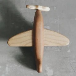 Tateplota Handmade Wooden Airplane